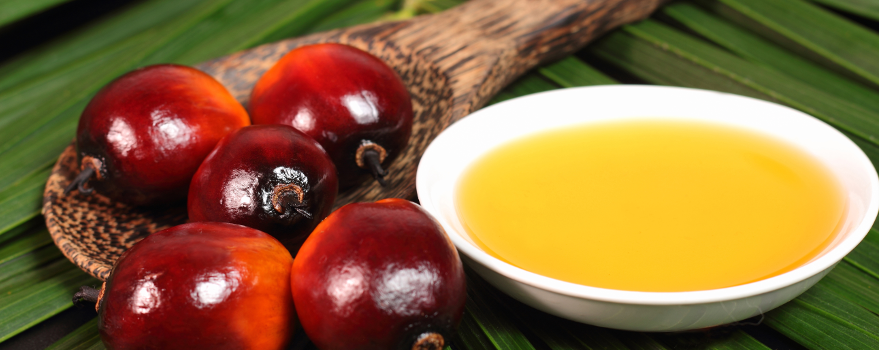 ¿El aceite de palma es perjudicial para la salud?