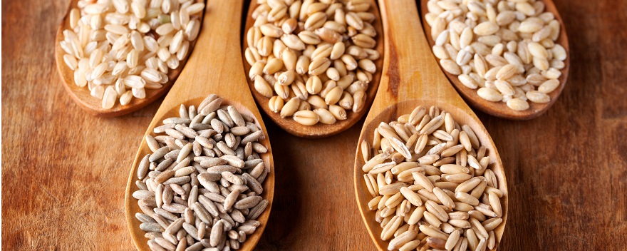 Aquest any en el Dia nacional de la Nutrició els protagonistes són els cereals: “Anem al gra”!