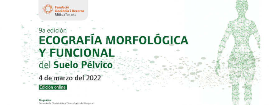 El servei de Ginecologia i Obstetrícia organitza la novena edició del curs d'Ecografia Morfològica i Funcional del Sòl Pelvià