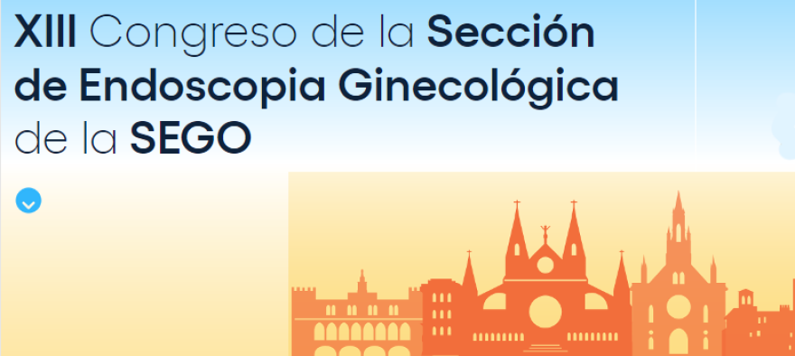 El servei de Ginecologia i Obstetrícia de la FAMT, present en el XIII Congrés de la Secció d’Endoscòpia Ginecològica de la SEGO